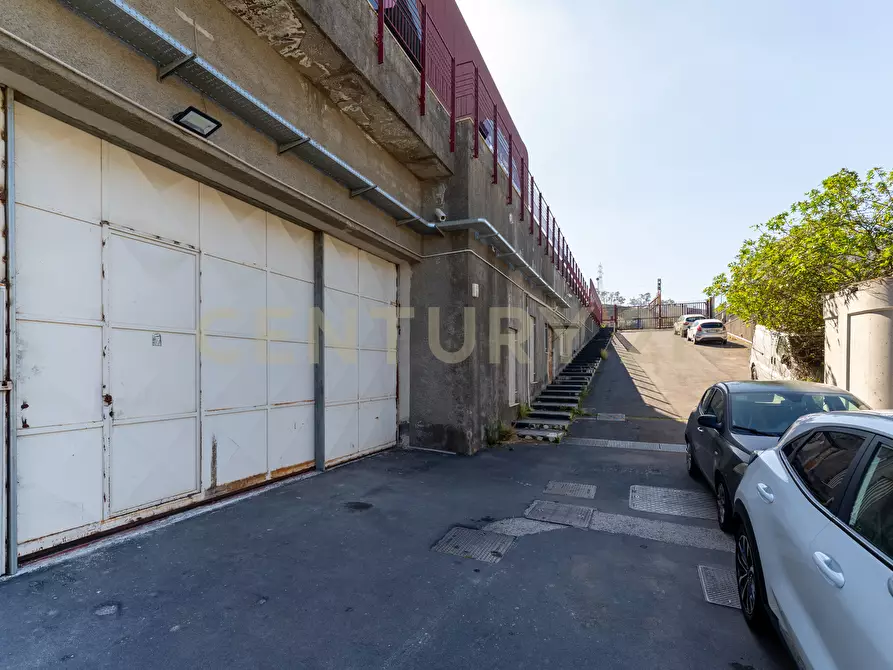 Immagine 15 di Attività commerciale in vendita  in Viale del Commercio a Misterbianco