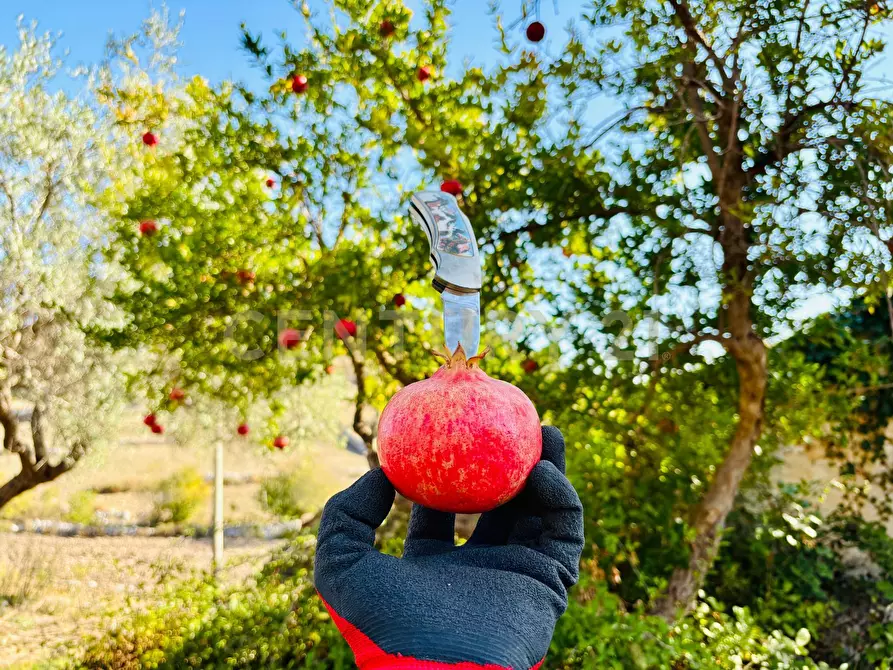 Immagine 43 di Rustico / casale in vendita  in strada provinciale 104 a Modica