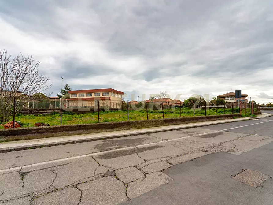 Immagine 23 di Terreno agricolo in affitto  in Via Dante Alighieri a San Gregorio Di Catania