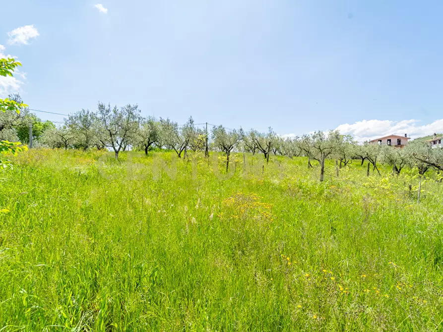 Immagine 21 di Villa in vendita  in Via Colle Sant'Angelo 36 a Serrone