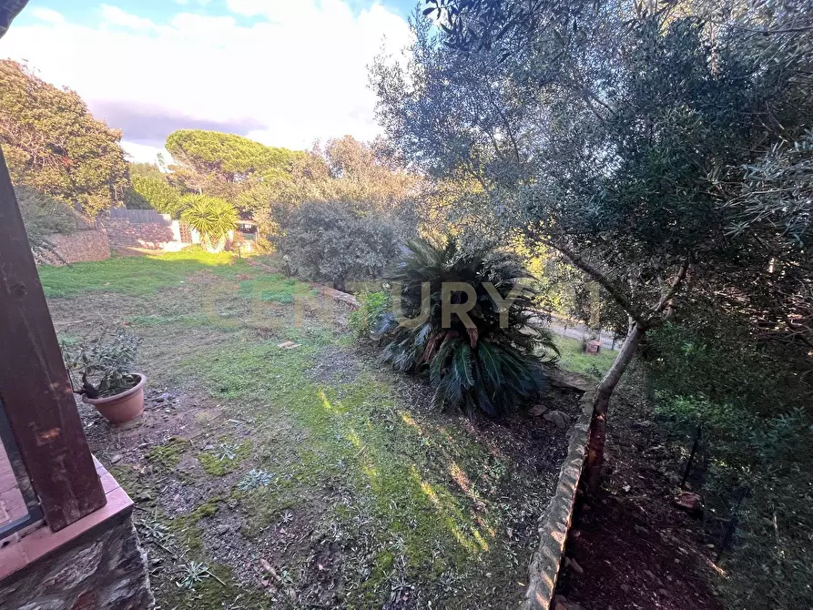 Immagine 39 di Villa in vendita  in Via delle Ginestre 80 a Orbetello