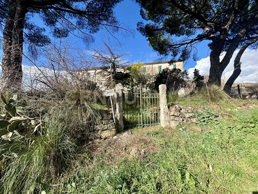 Immagine 3 di Pentalocale in vendita  in località casini a Scansano