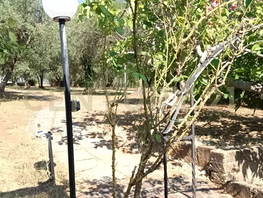 Immagine 21 di Rustico / casale in vendita  in Località Podere di Mezzo 16 16 a Gavorrano