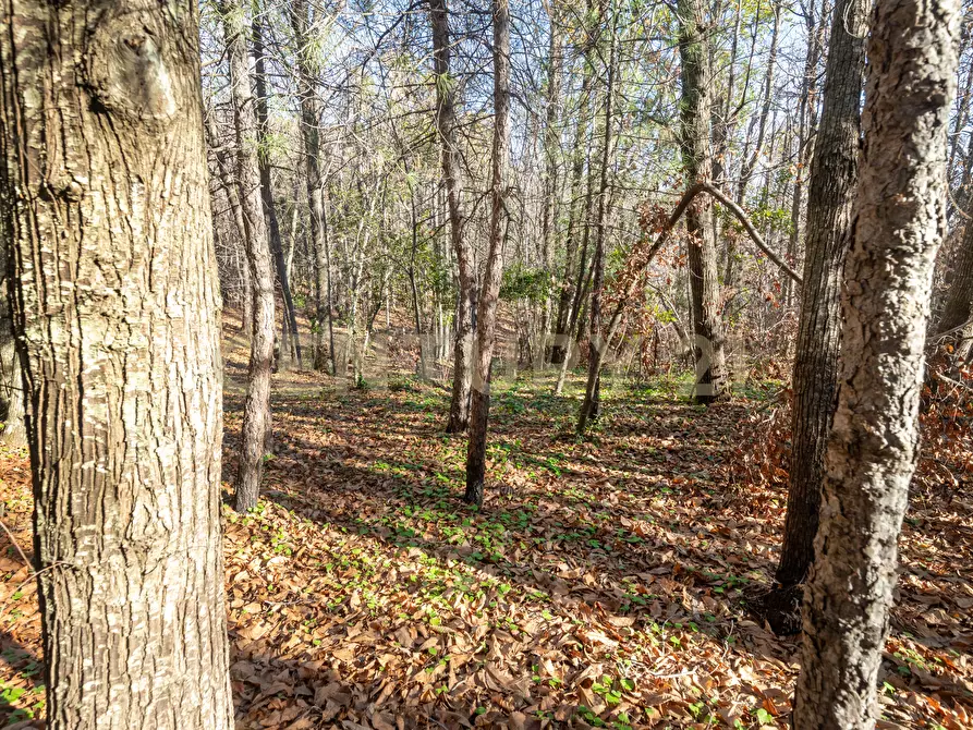 Immagine 26 di Villa in vendita  in Via della Regione 70 a Pedara