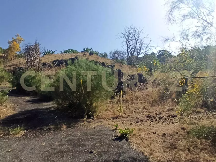 Immagine 9 di Terreno agricolo in vendita  in C.da Filiciusa a Biancavilla