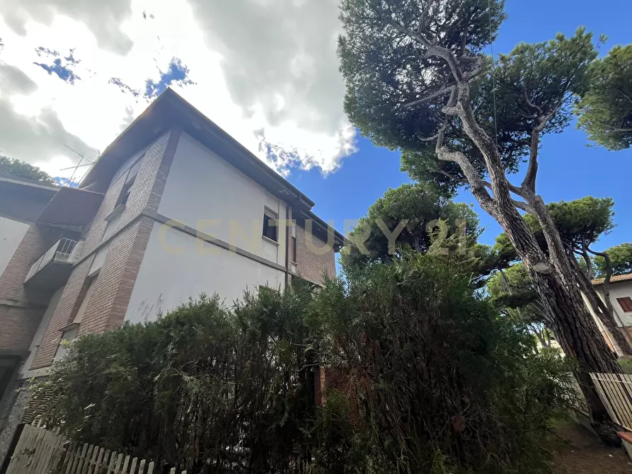 Immagine 20 di Pentalocale in vendita  in via delle ginevre 32a a Grosseto