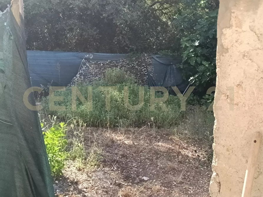 Immagine 9 di Rustico / casale in vendita  in località Sant'Andrea 17 a Gavorrano