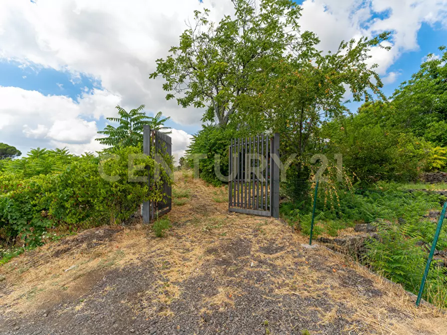 Immagine 5 di Villa in vendita  in Via Grazia Deledda 28 a Santa Venerina