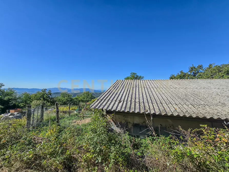 Immagine 4 di Appartamento in vendita  in località le coste snc a Roccastrada