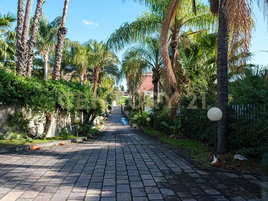 Immagine 6 di Villa in vendita  a Catania