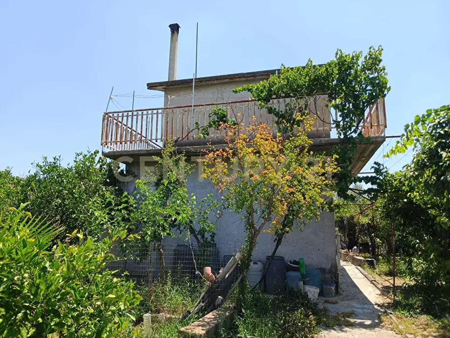 Immagine 20 di Terreno agricolo in vendita  in Contrada Agnelleria a Belpasso