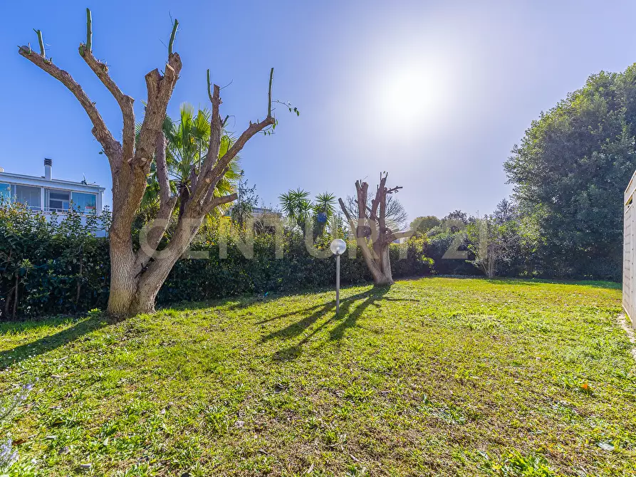 Immagine 31 di Casa bifamiliare in vendita  in Via Zaccaria Negroni 3 a Nettuno