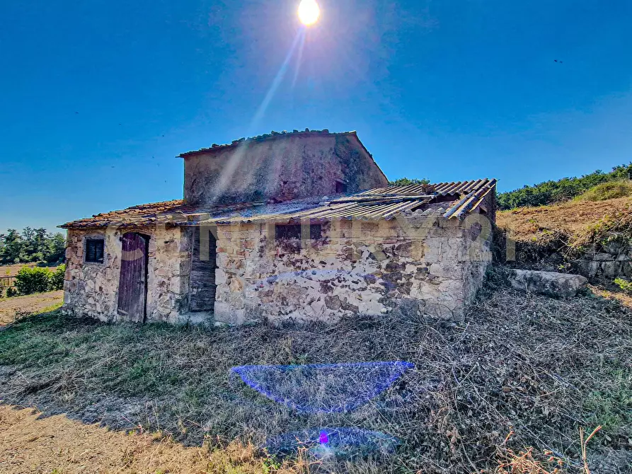 Immagine 7 di Rustico / casale in vendita  in località case cinigliano a Roccastrada
