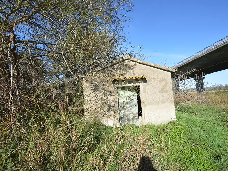 Immagine 13 di Rustico / casale in vendita  in Strada dell'Isolotto a Grosseto