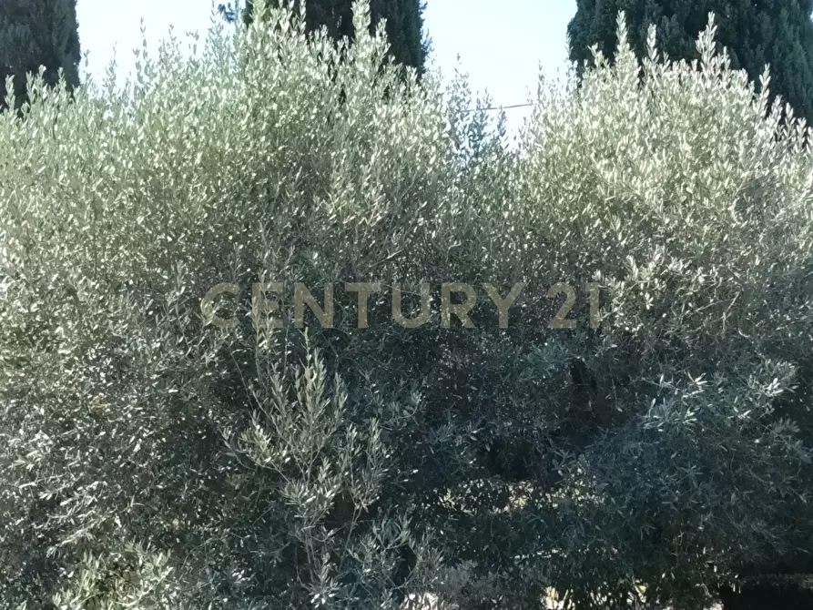Immagine 7 di Rustico / casale in vendita  in Località Podere di Mezzo 16 16 a Gavorrano
