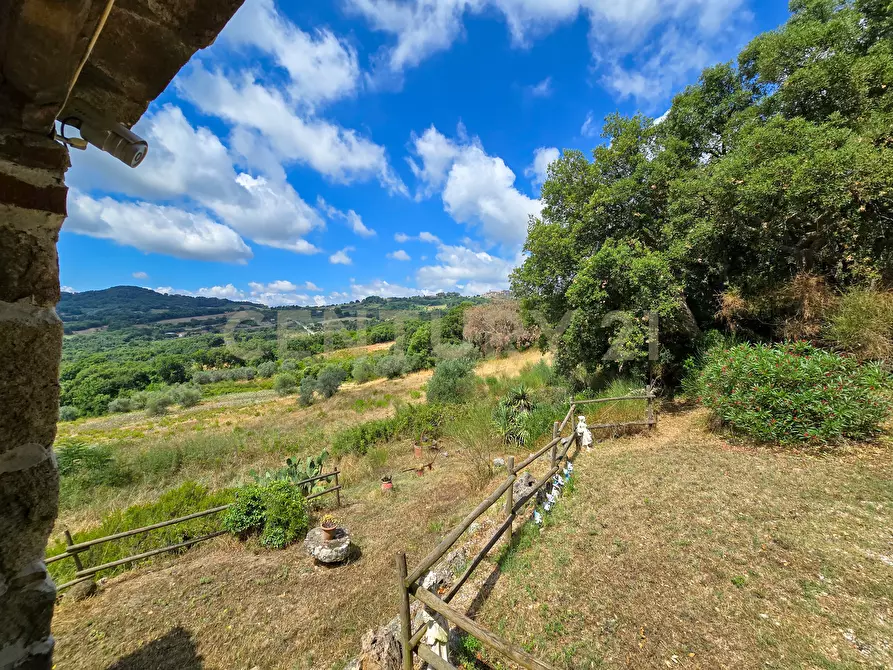 Immagine 10 di Rustico / casale in vendita  in podere le rocchette snc a Roccastrada
