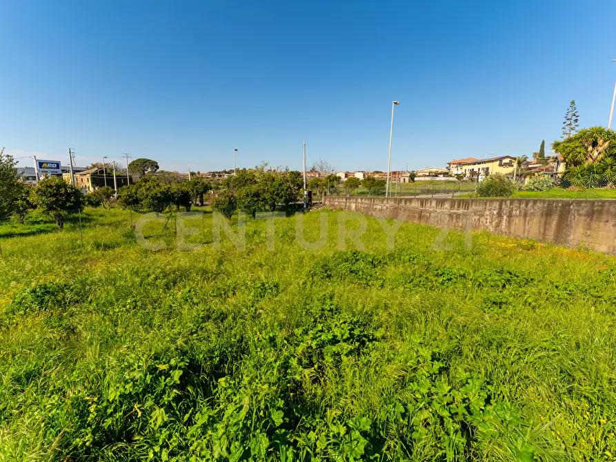 Immagine 16 di Terreno industriale in vendita  in Viale Andrea Doria 2 a San Giovanni La Punta