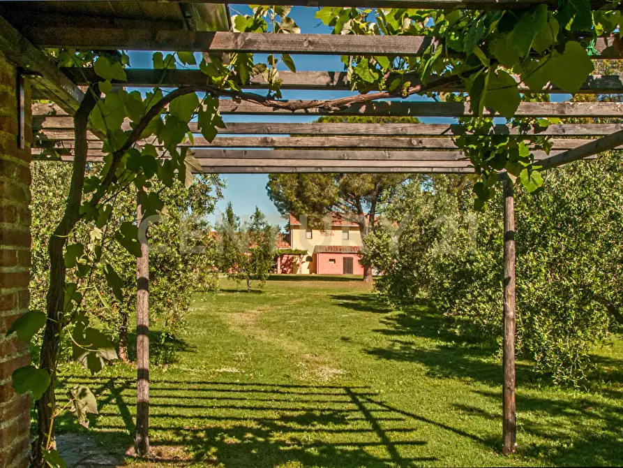 Immagine 17 di Rustico / casale in vendita  in località podere dogana a Roccastrada