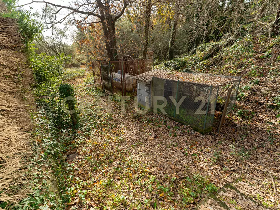 Immagine 14 di Villa in vendita  in CONTRADA ALBORETTO a Linguaglossa