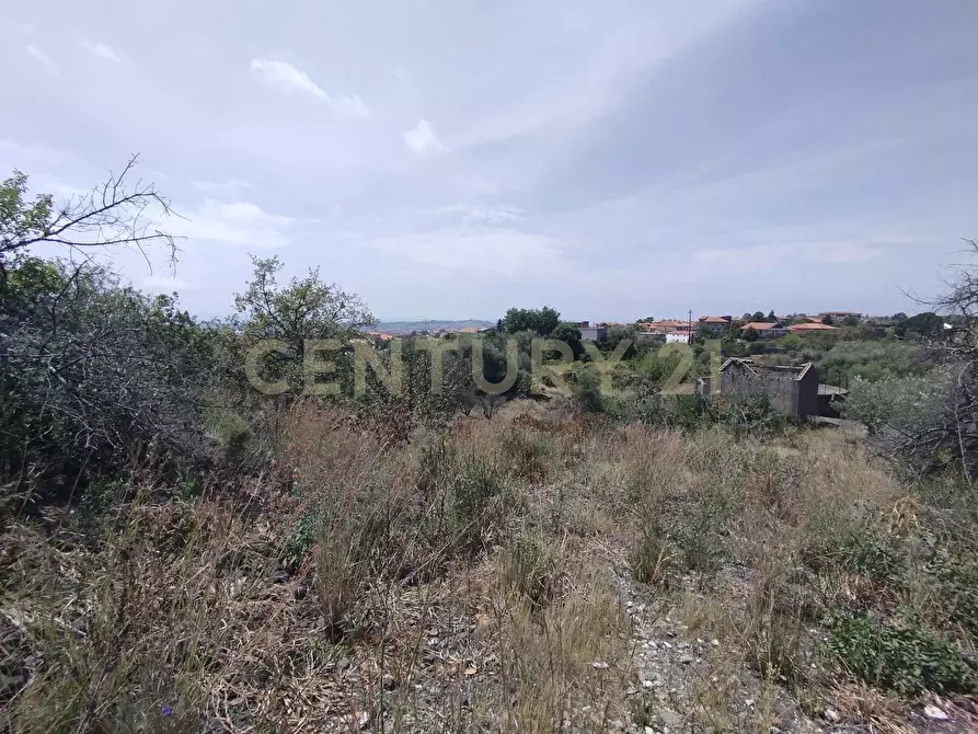 Immagine 19 di Terreno agricolo in vendita  in CONTRADA MANGIONE snc a Catania