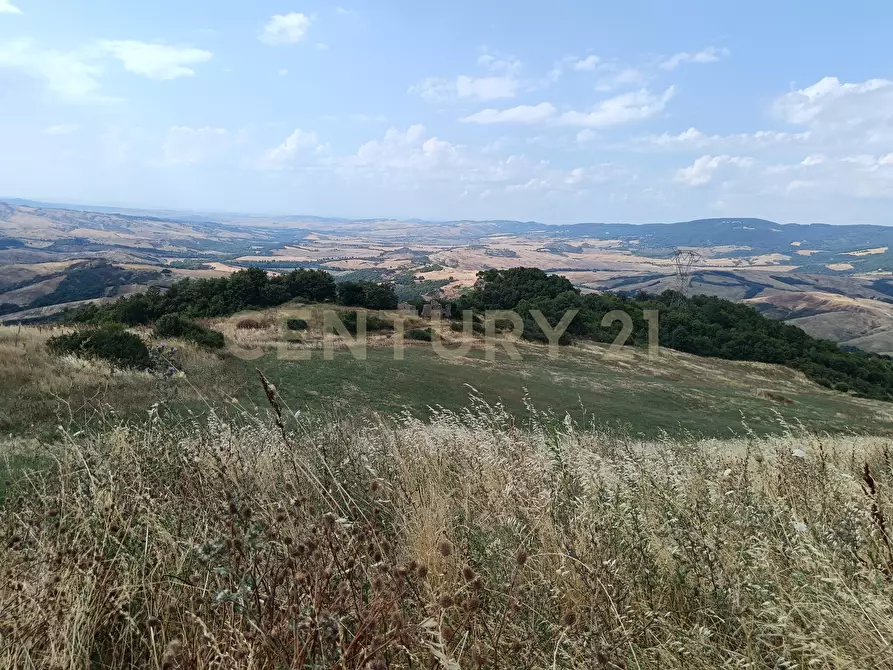 Immagine 6 di Terreno edificabile in vendita  in Località Podere Scarpetta 90 a Radicofani