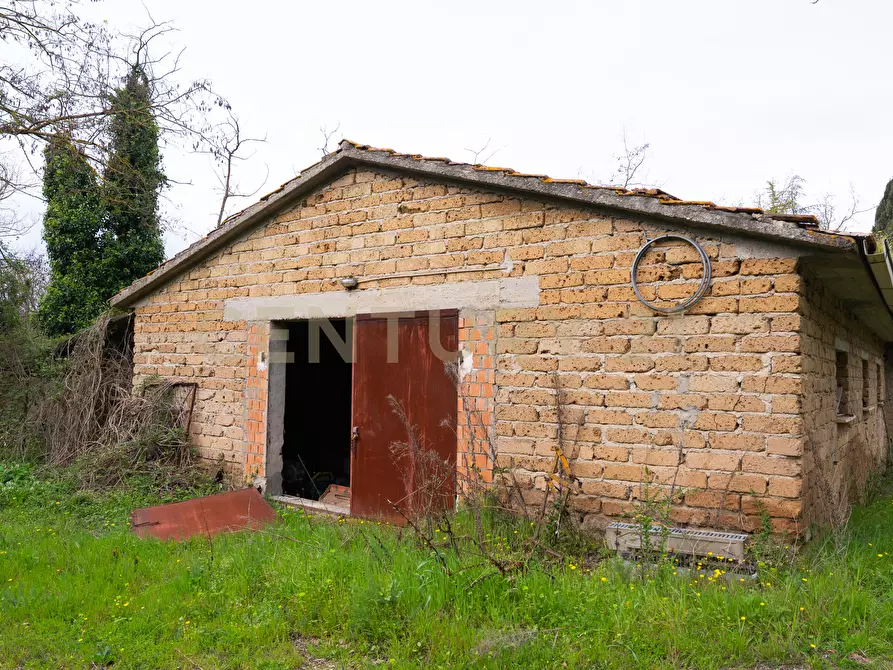 Immagine 36 di Rustico / casale in vendita  in sasso d'ombrone a Cinigiano
