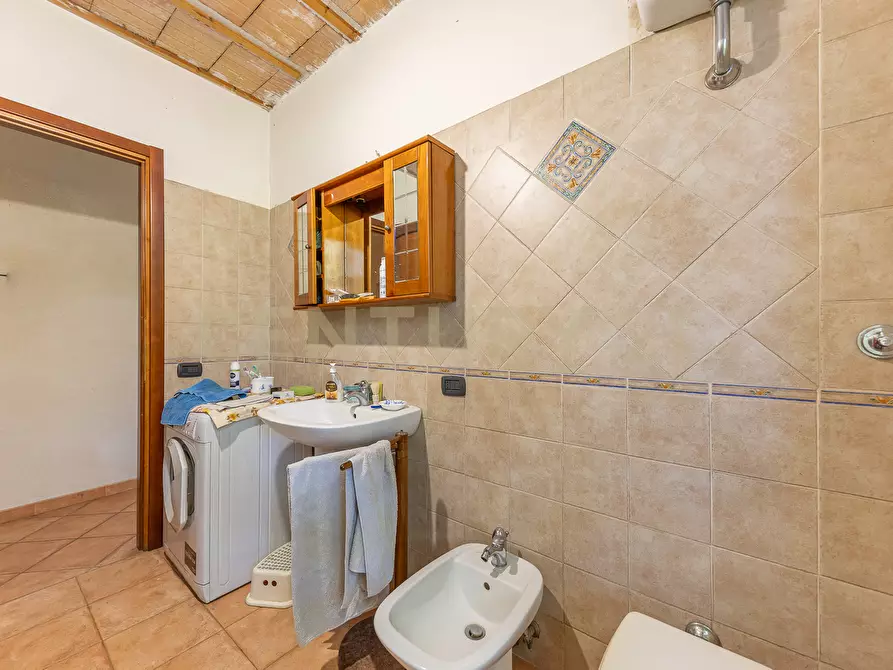 Immagine 62 di Rustico / casale in vendita  in località san quirichello a Barbarano Romano