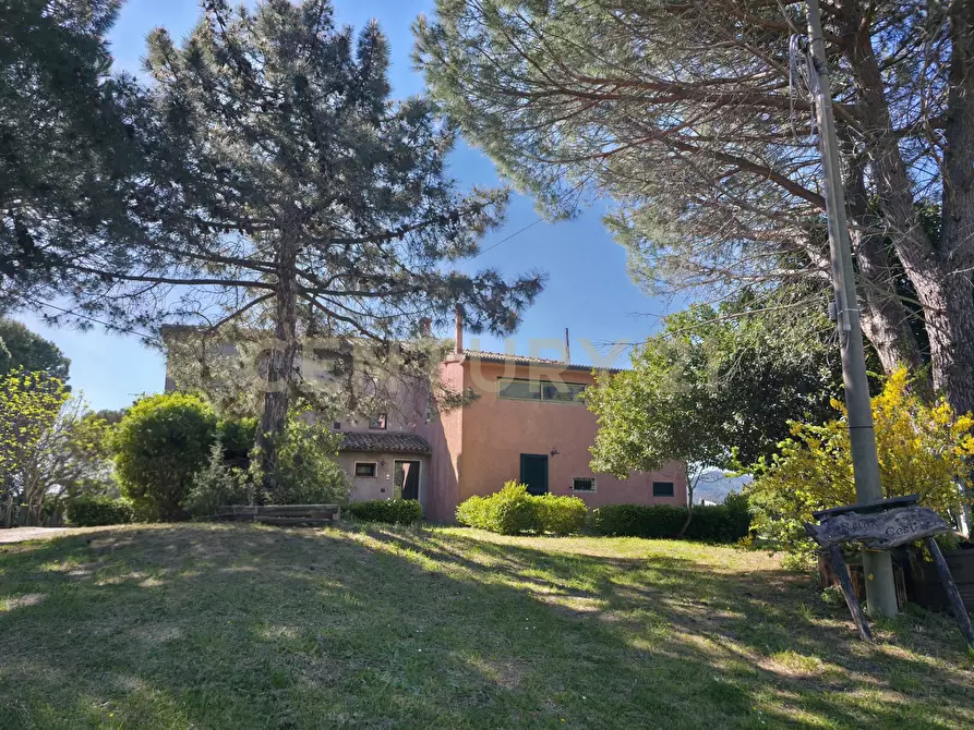 Immagine 6 di Rustico / casale in vendita  in località cesi a Gavorrano