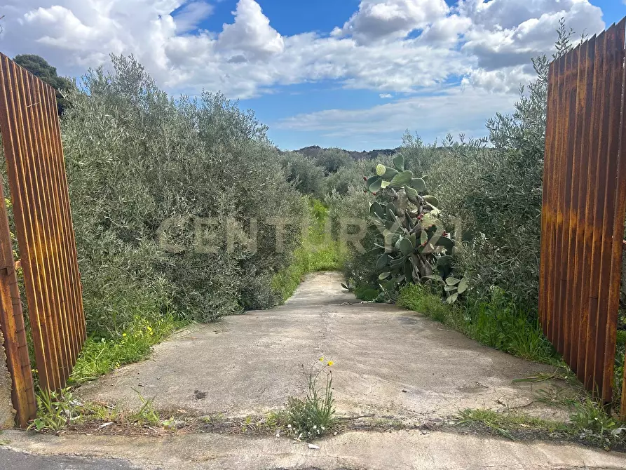 Immagine 40 di Terreno edificabile in vendita  in Viale Giovanni Falcone 9 a Camporotondo Etneo