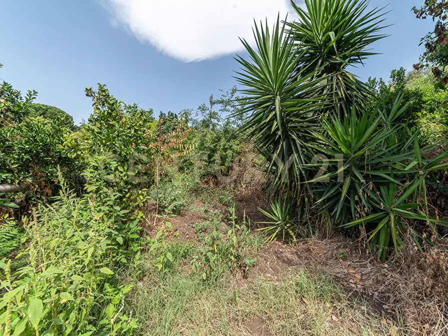 Immagine 45 di Villa in vendita  in Strada Comunale 9 Praiola 8 a Riposto