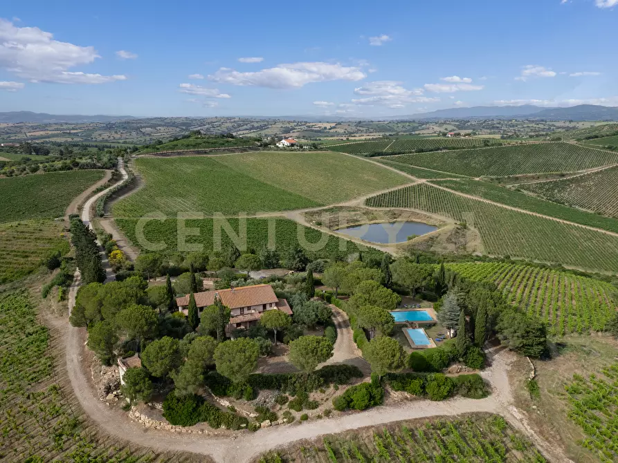 Immagine 1 di Villa in vendita  in Strada di Monte Bottigli a Grosseto
