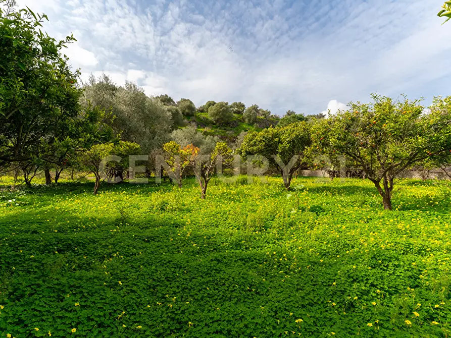 Immagine 4 di Terreno agricolo in vendita  in Contrada Vaccarizzo a Catania