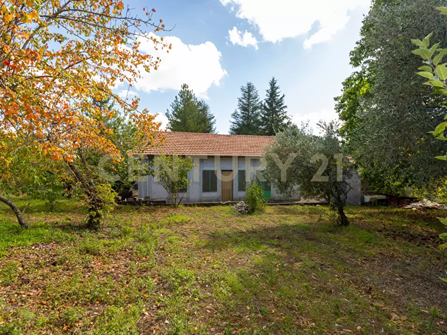 Immagine 24 di Villa in vendita  in Contrada Scolaro Cisterna a Adrano