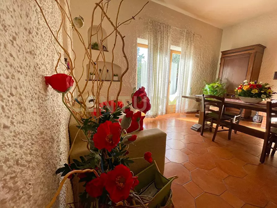 Immagine 22 di Rustico / casale in vendita  in Strada Vicinale dei Pinalti 14 a Orbetello