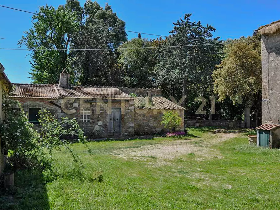 Immagine 23 di Rustico / casale in vendita  in Località Preselle sp 159 a Scansano