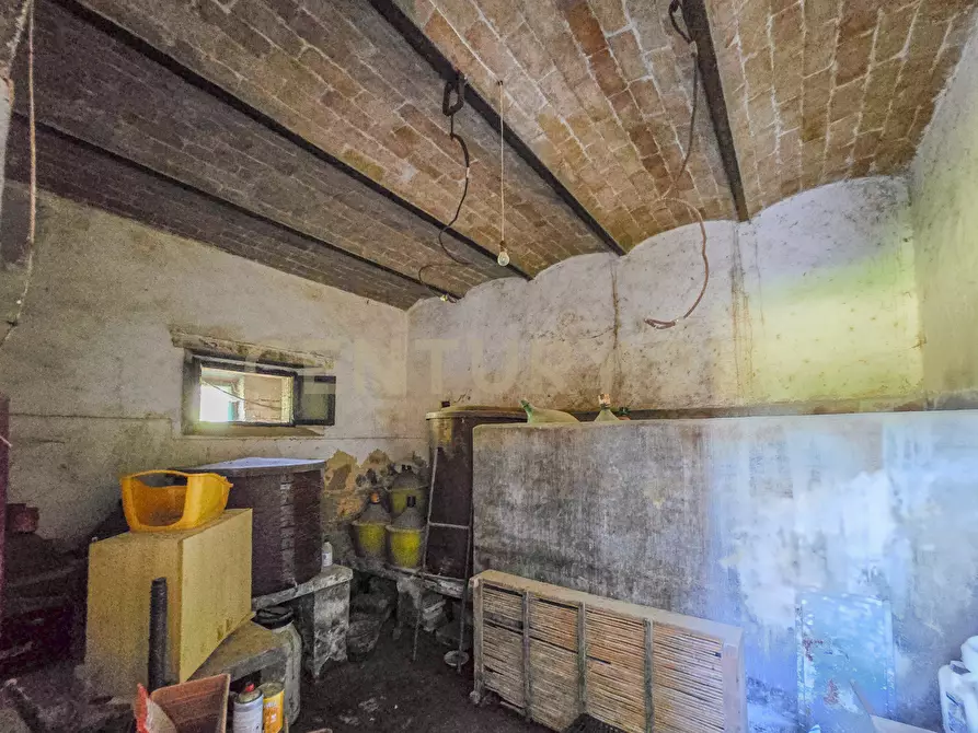 Immagine 19 di Casa indipendente in vendita  in località podere poggio sellino snc a Semproniano