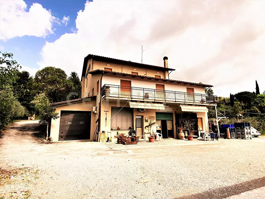 Immagine 1 di Azienda agricola in vendita  in via cavine e valli 34 a Chianciano Terme