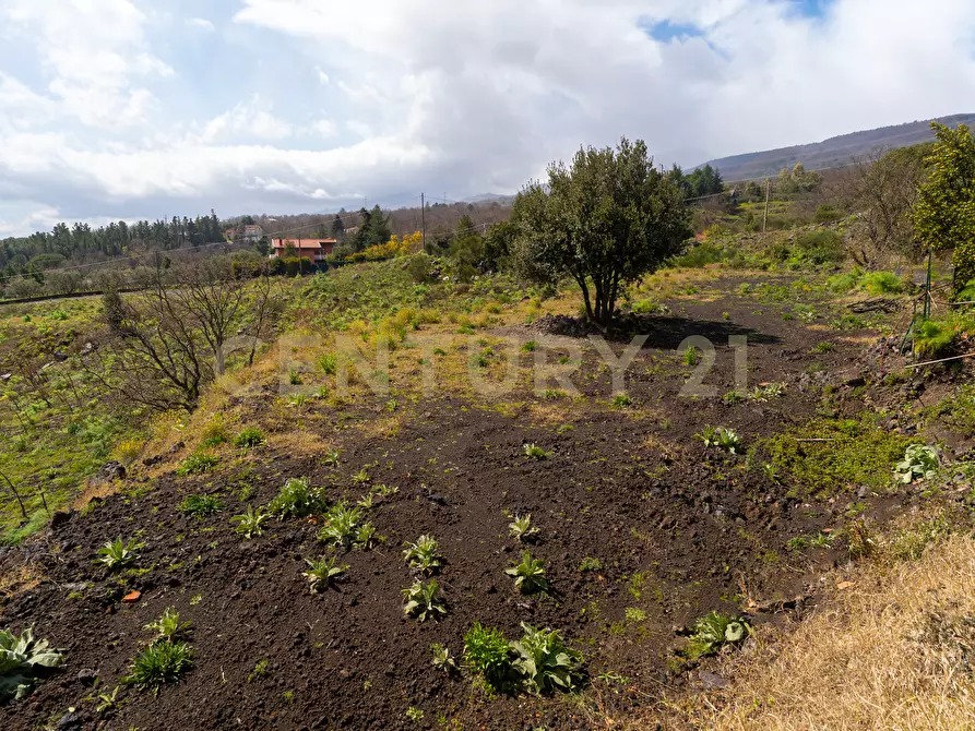 Immagine 29 di Terreno edificabile in vendita  in Via Nocille 55 a Mascali