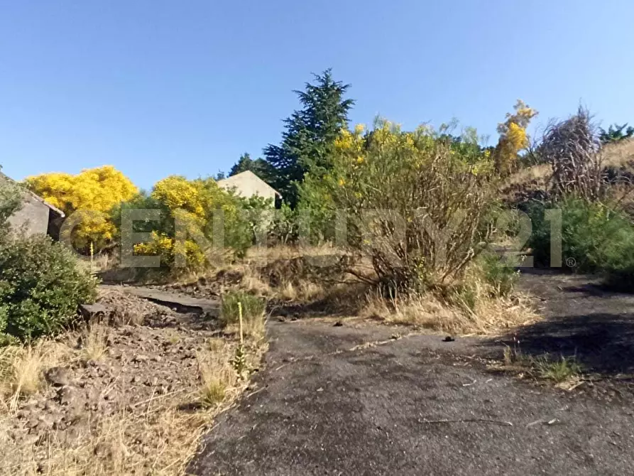 Immagine 14 di Terreno agricolo in vendita  in C.da Filiciusa a Biancavilla
