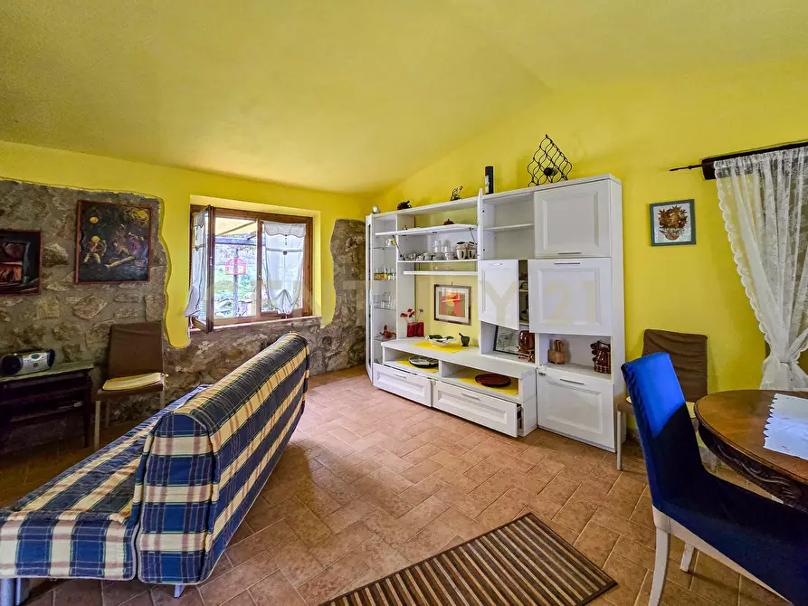 Immagine 6 di Rustico / casale in vendita  in Località Camaiano snc a Roccastrada