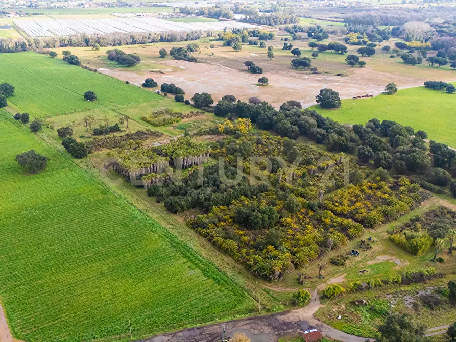Immagine 3 di Terreno agricolo in vendita  in Via Lerici a Nettuno