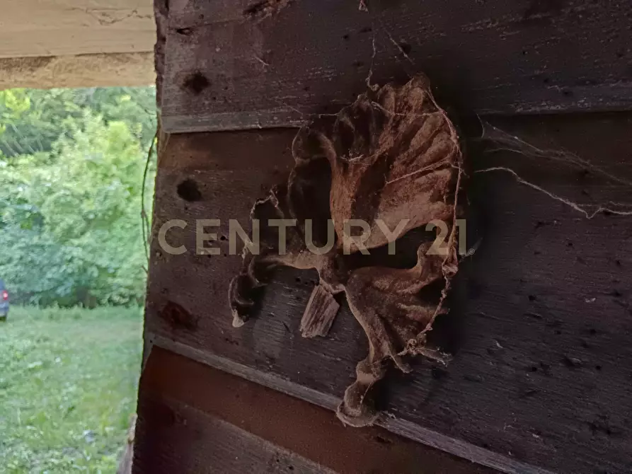 Immagine 36 di Rustico / casale in vendita  in Via dell'Eremo 1 a Castiglione D'orcia