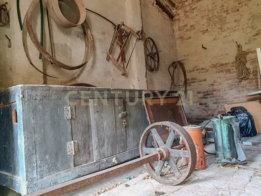 Immagine 6 di Rustico / casale in vendita  in Località Preselle sp 159 a Scansano