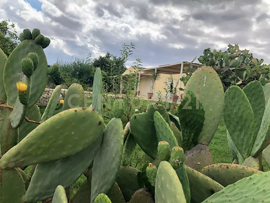 Immagine 19 di Rustico / casale in vendita  a Noto