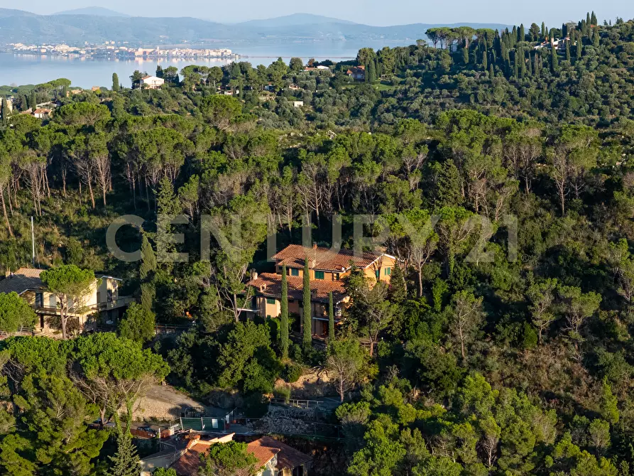 Immagine 10 di Porzione di casa in vendita  in Via Costa degli Ulivi a Monte Argentario