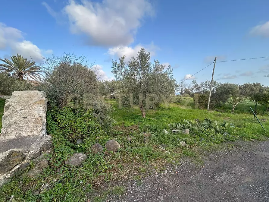 Immagine 21 di Terreno agricolo in vendita  in Via Giovanni Verga 1/A a Misterbianco