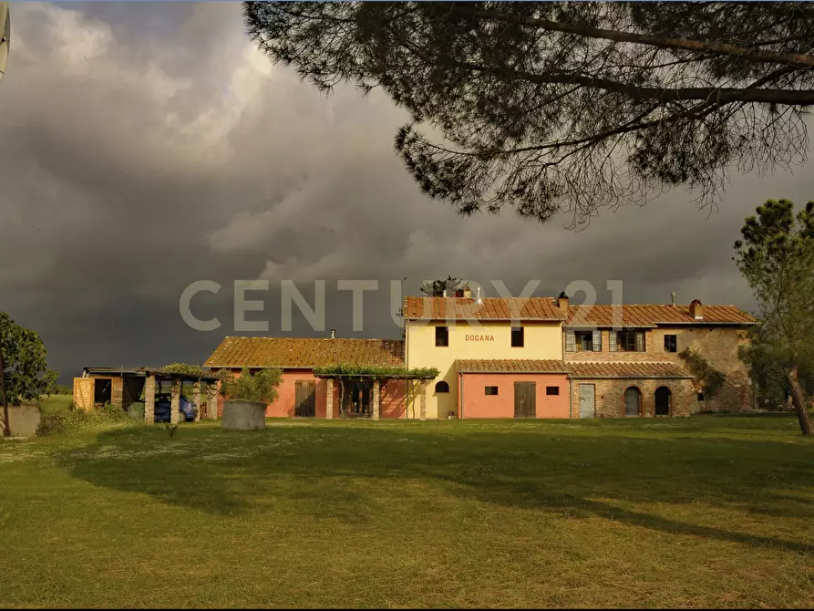 Immagine 3 di Rustico / casale in vendita  in località podere dogana a Roccastrada