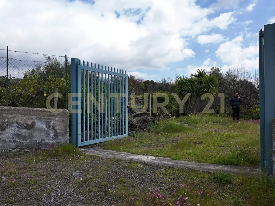 Immagine 20 di Terreno agricolo in vendita  in Contrada malvezzaro a Santa Maria Di Licodia