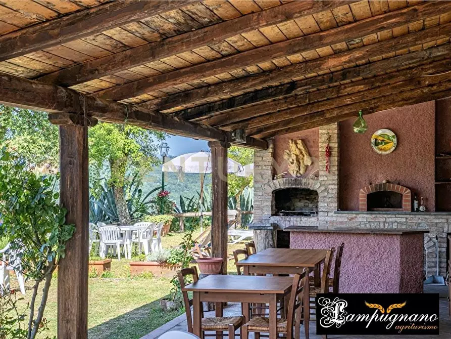 Immagine 58 di Rustico / casale in vendita  in agriturismo lampugnano 47 a Civitella Paganico