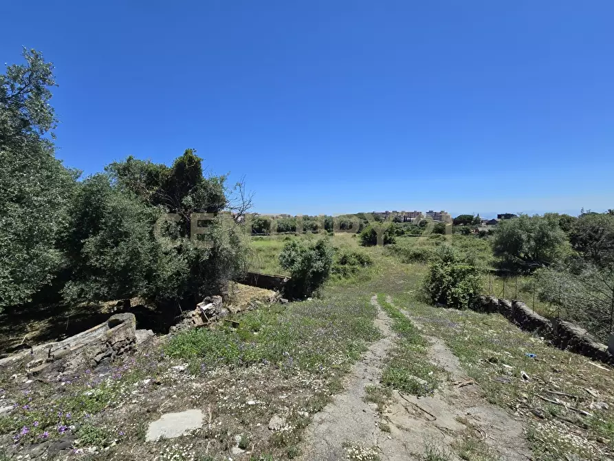 Immagine 64 di Terreno agricolo in vendita  in Vico Agatino De Marco a Gravina Di Catania